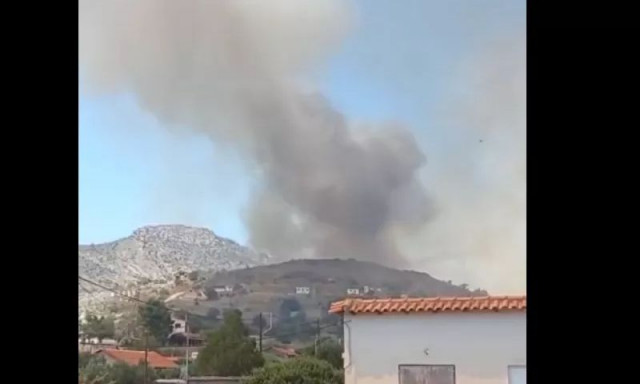 Βοιωτία: Δασική πυρκαγιά στην Αλυκή - Νέο 112 για απομάκρυνση προς Άγιο Νικόλαο
