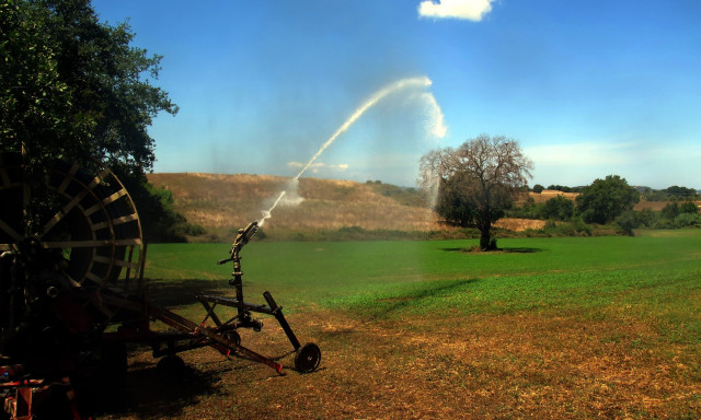 ΟΠΕΚΕΠΕ: Παράνομες επιδοτήσεις 15 εκατ. ευρώ στο όνομα των… ΕΛΤΑ – Πήραν λεφτά πάνω από 450 αγρότες