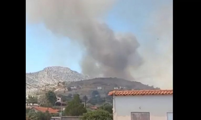 Αλυκή: Συνελήφθη μελισσοκόμος για εμπρησμό από αμέλεια