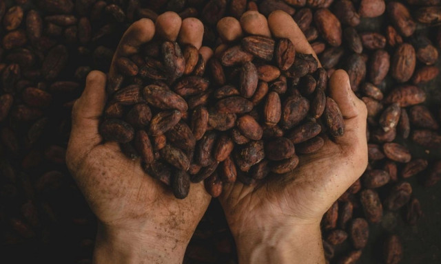 Από τον Νέο Κόσμο στα παλάτια της Ισπανίας: Η ιστορία της σοκολάτας ξεκινά