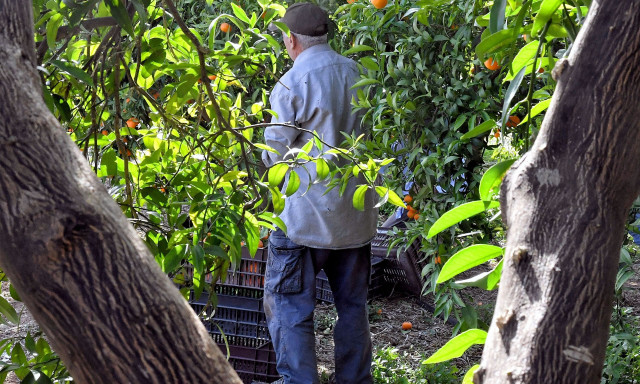 ΟΠΕΚΕΠΕ: Πειθαρχική διαδικασία και στέρηση μισθού στη μάρτυρα – «κλειδί», Παρασκευή Τυχεροπούλου