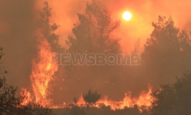 Μαίνεται η φωτιά στον Ωρωπό: Καίει παρθένο πευκοδάσος και πλησιάζει το Ασπροχώρι - Φωτογραφίες