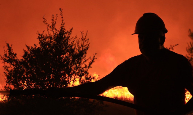 Φωτιά στον Ωρωπό: Συνελήφθη μελισσοκόμος - Του επιβλήθηκε πρόστιμο 9.750 ευρώ