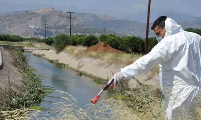 Ιός Δυτικού Νείλου: Τέσσερα κρούσματα εντοπίστηκαν στην Αττική - Τα συμπτώματα και μέτρα προστασίας