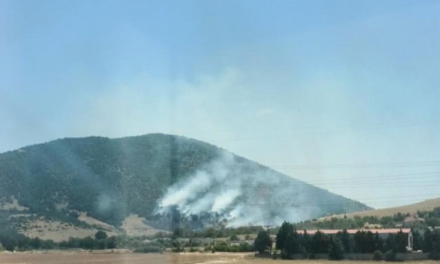 Φωτιά τώρα στην Κοζάνη: Καίει σε χαράδρα στην Παναγία Δρεπάνου - Ήχησε το «112»