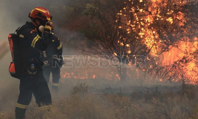 Σε ύφεση η φωτιά στον Ωρωπό μετά το ολονύχτιο «θρίλερ» - «Έγλειψε» τις αυλές των σπιτιών
