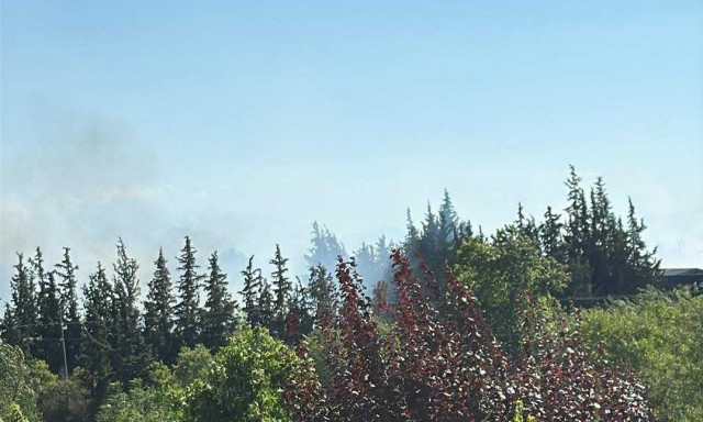 Φωτιά τώρα σε ελαιώνα στη Θέρμη - Επιχειρούν εναέρια μέσα