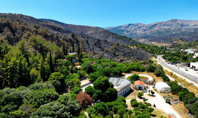 ΟΠΕΚΕΠΕ – Χίος: «Κάηκαν τα βοσκοτόπια και δεν μας δίνουν αποζημίωση γιατί τα έχουν δηλώσει Κρητικοί»