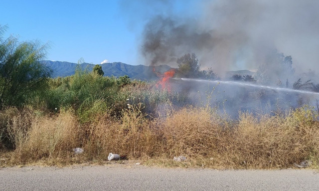 Νέα φωτιά στο Μεσολόγγι – Άμεση επέμβαση της Πυροσβεστικής