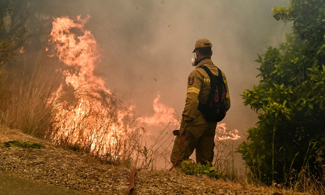 Υψηλός κίνδυνος πυρκαγιάς για σήμερα (12/7) - Συναγερμός για αυτές τις περιοχές
