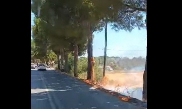 Μυτιλήνη: Φωτιά στην Καλλονή – Κάηκαν αυτοκίνητα, τέθηκε άμεσα υπό έλεγχο