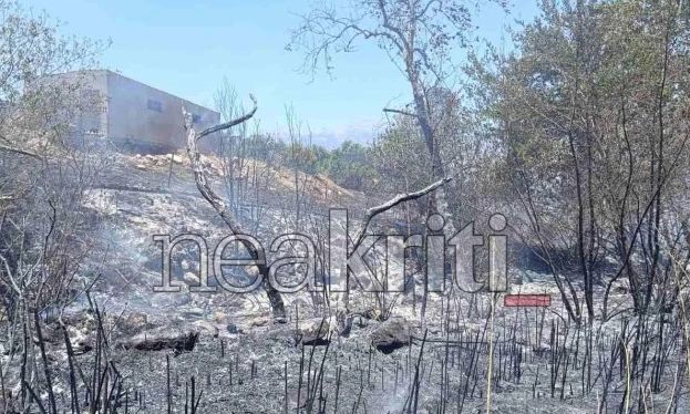 Φωτιά τώρα στο Ηράκλειο Κρήτης - Δείτε βίντεο