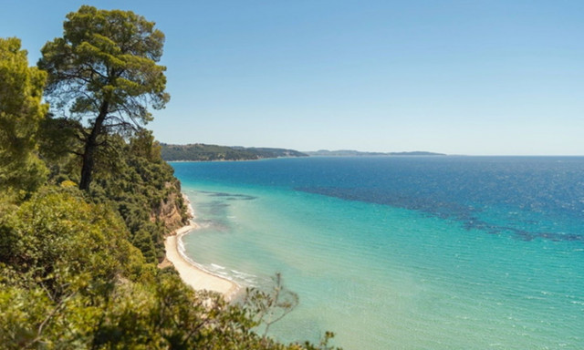 Διακοπές σε όλη την Ελλάδα για τα παιδιά του «Χαμόγελου του Παιδιού»