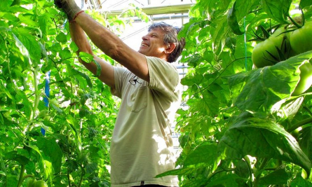 Νέα έρευνα: Τα ζώα αντιδρούν σε «μυστικούς» ήχους που παράγουν τα φυτά