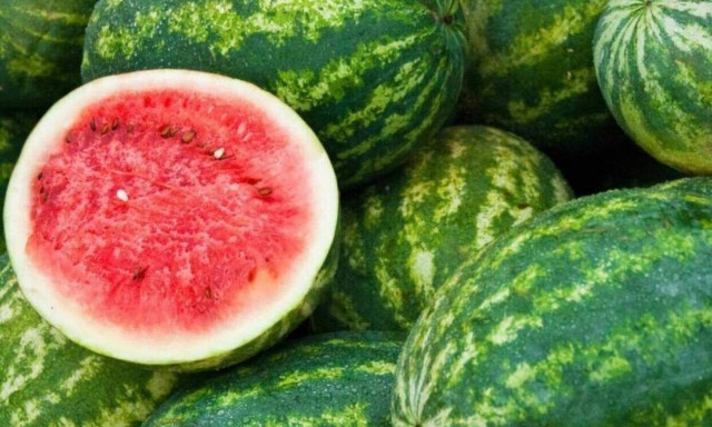 Ειδικός προειδοποιεί: Aυτό συμβαίνει στο σώμα σας αν τρώτε καρπούζι κάθε μέρα - Kαι δεν είναι καλό