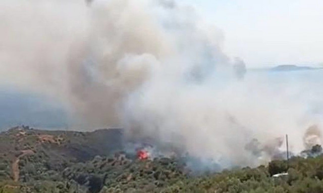 Φωτιά στη Λακωνία: Μήνυμα του 112 - Ενισχύθηκαν οι δυνάμεις