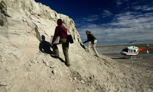 Ανακαλύφθηκαν πρωτεΐνες 10 φορές αρχαιότερες από το αρχαιότερο DNA σε απολιθώματα ρινόκερου