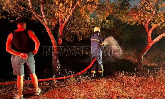 Πυρκαγιά δίπλα από το Άλσος Βεΐκου στο Γαλάτσι - Δείτε βίντεο