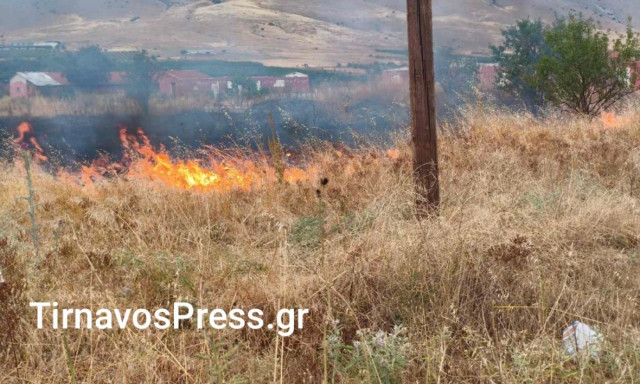 Φωτιά κοντά σε σπίτια στον Τύρναβο