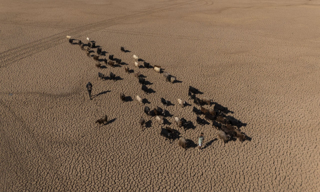 Τουρκία: Στέγνωσε λίμνη στο Μαρντίν - Θλιβερές εικόνες