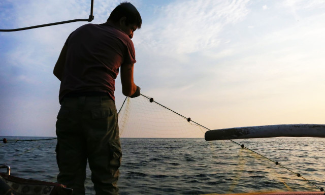Γιατί αυξάνονται οι τιμές στα ψάρια – Ο διπλωματικός λόγος