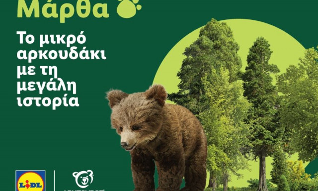 Η Lidl Ελλάς στήριξε την επιτυχή επανένταξη της Μάρθας στη φύση, σε συνεργασία με τον ΑΡΚΤΟΥΡΟ