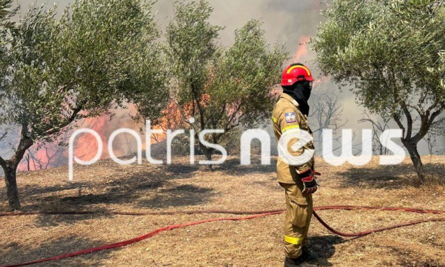 Φωτιά στον Πύργο Ηλείας: Ενισχύθηκαν οι πυροσβεστικές δυνάμεις στα Αστεραίικα