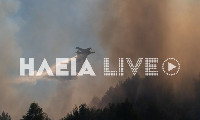 Φωτιά στην Ηλεία: Βελτιωμένη η εικόνα της πυρκαγιάς - Συνεχίζονται οι προσπάθειες κατάσβεσης