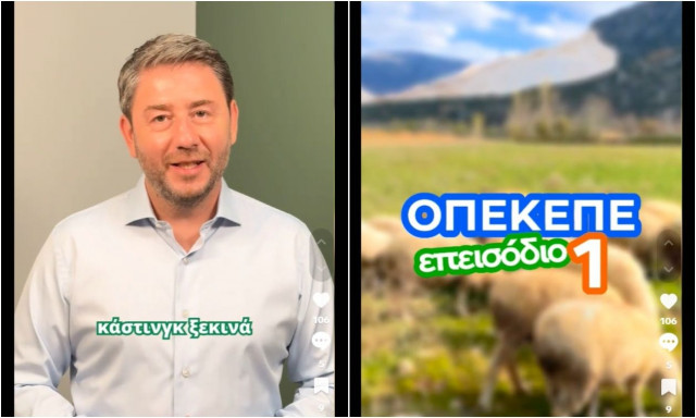 ΠΑΣΟΚ: Ο Ανδρουλάκης κάνει… casting στην κυβέρνηση μέσω TikTok για τον ΟΠΕΚΕΠΕ