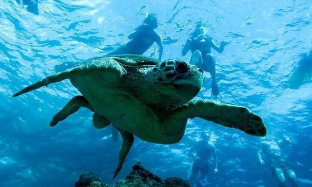 Πώς η απώλεια των θαλάσσιων πόρων οδηγεί σε πολιτικές συγκρούσεις και κλιματική μετανάστευση