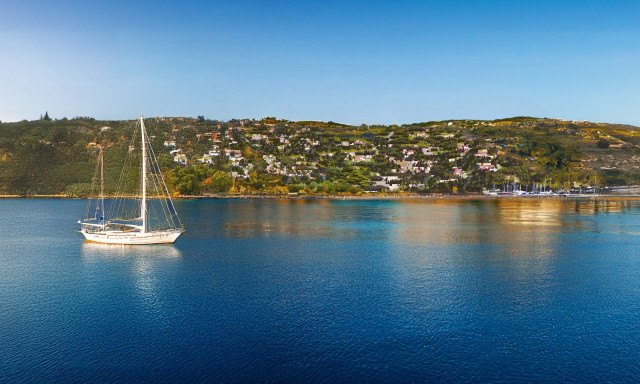 Πράσινο φως για Στρατηγική Επένδυση Costa Nopia - Ανακοίνωση Ομίλου Λεπτού