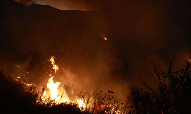 Φωτιά στο Κιλκίς: Υπό μερικό έλεγχο η πυρκαγιά στην περιοχή Πευκοδάσος
