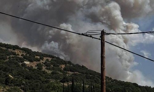 Φωτιά στον Φενεό Κορινθίας: Προετοιμαζόταν ρέιβ πάρτι στο δάσος - Δύο προσαγωγές