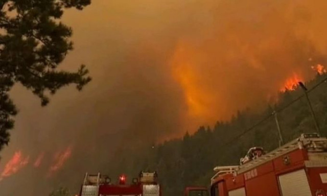 Φωτιά στον Φενεό Κορινθίας: Κάηκαν ολοσχερώς σπίτια στην Καστανιά