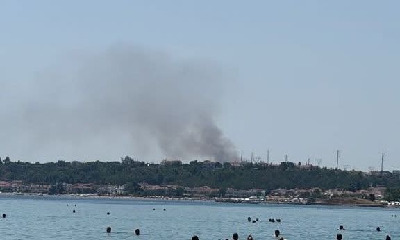 Φωτιά τώρα στη Χαλκιδική