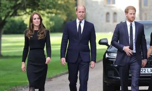 Πρίγκιπες Γουίλιαμ και Χάρι: Νεκρή βρέθηκε 20χρονη ξαδέλφη τους - Εντοπίστηκε όπλο κοντά της