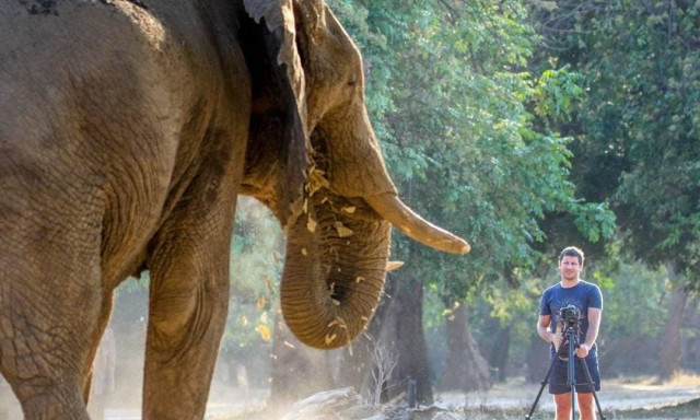 Νότια Αφρική: Φριχτός θάνατος μεγιστάνα σε πάρκο σαφάρι - Τον ποδοπάτησε ελέφαντας 6 τόνων