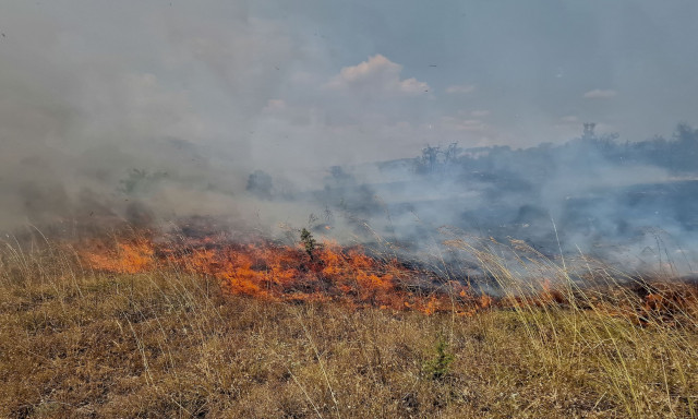 Φωτιά τώρα στην Ροδόπη στην περιοχή Μικρό Πιστό - Ήχησε το 112