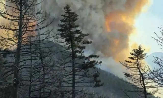 Φωτιά στον Φενεό Κορινθίας: Ενισχύθηκαν οι πυροσβεστικές δυνάμεις - Δεν απειλούνται οικισμοί