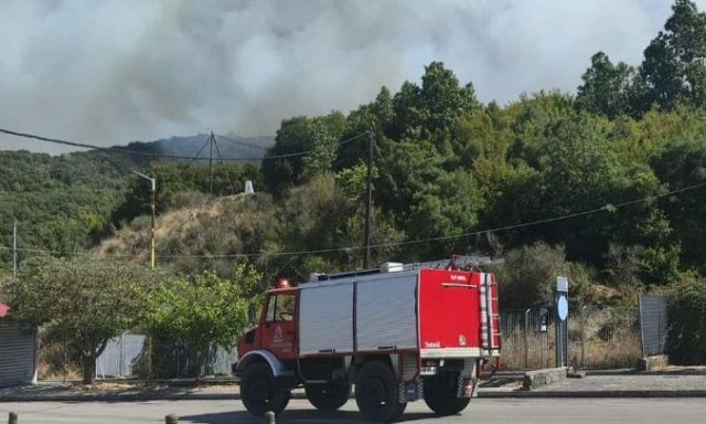 Μεγάλη φωτιά στο Νεοχώρι Ιωαννίνων κοντά στην Κακαβιά - Ήχησε το 112