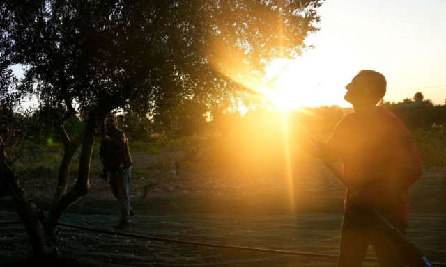 «Έβρασε» το Κρανίδι με 43,4 βαθμούς Κελσίου - Πού καταγράφηκαν οι υψηλότερες θερμοκρασίες