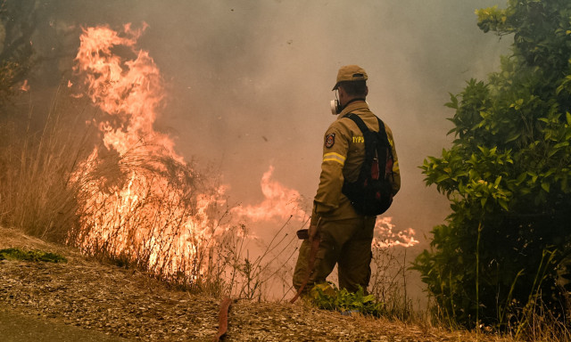 Θεσπρωτία: Τέθηκε υπό μερικό έλεγχο η φωτιά στην Παραμυθιά – Είχε φτάσει έως την αυλή ξενοδοχείου