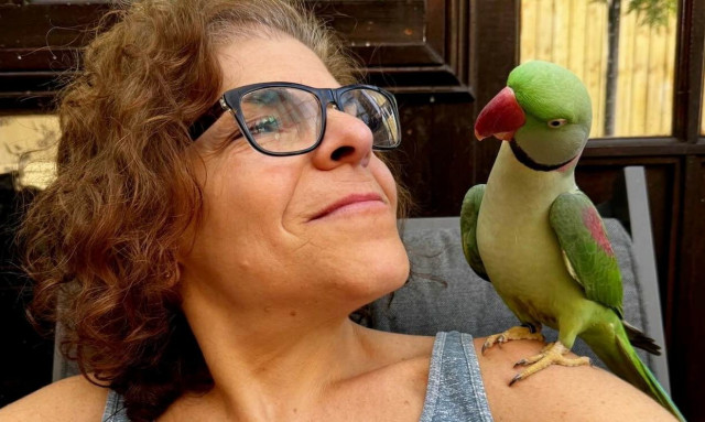 Αγγλία: Παπαγαλάκι που δραπέτευσε από το σπίτι του στο Λονδίνο βρέθηκε 160 χιλιόμετρα μακριά, σώο