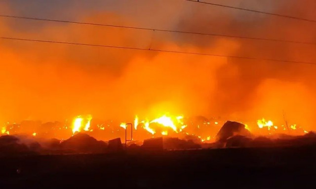 Βουλγαρία: Πυρκαγιές μαίνονται σε όλη τη χώρα, καταστρέφοντας δάση και σπίτια