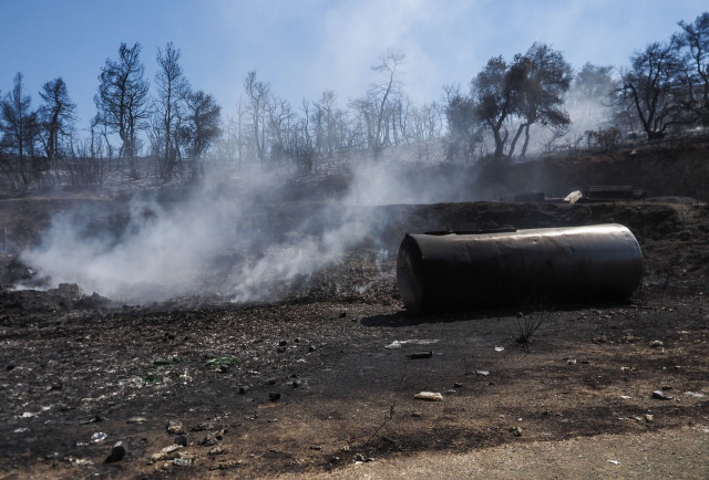 Φωτιά στην Εύβοια: Καλύτερη η εικόνα - Συνεχίζονται οι επιχειρήσεις κατάσβεσης