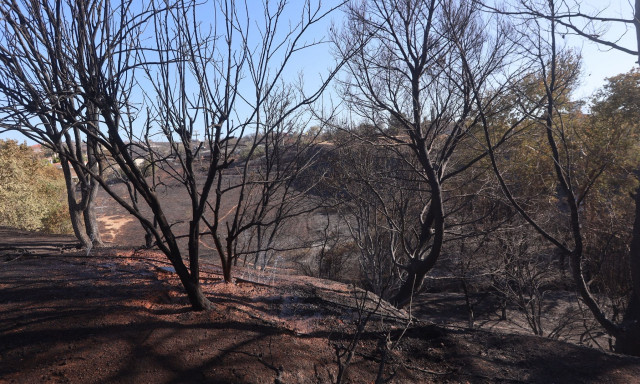 Αποκαθίσταται η κυκλοφορία στο Κρυονέρι μετά τη φωτιά - Πού υπάρχουν κυκλοφοριακές ρυθμίσεις