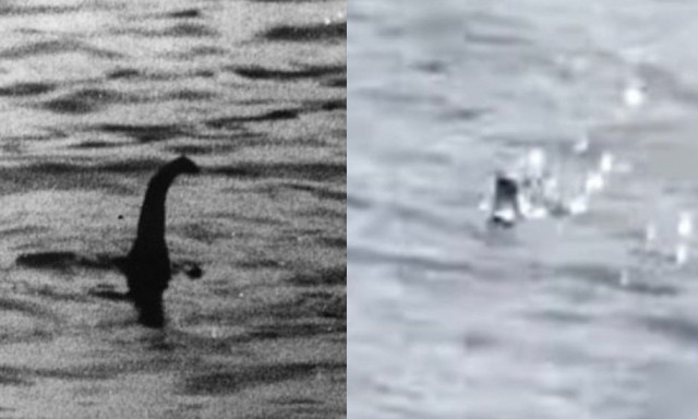 Τέρας του Λοχ Νες: Συγκλονιστικά στιγμιότυπα από τη νέα εμφάνιση του «Nessie» - Εικόνες