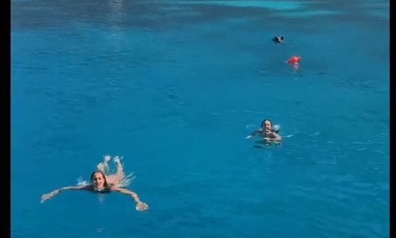 Ιθάκη: Γουρούνια κυνηγούν τουρίστριες μέσα στη θάλασσα