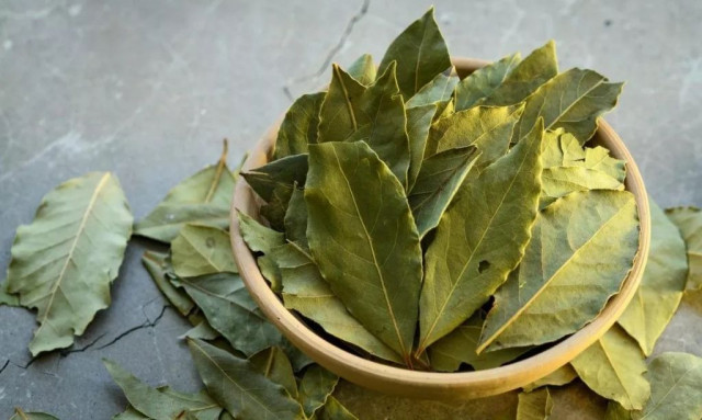 Απλό κόλπο: Λίγα φύλλα δάφνης θα σας απαλλάξουν από αυτό το ανυπόφορο πρόβλημα του καλοκαιριού