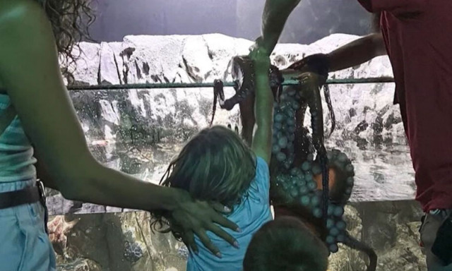 Τρόμος σε ενυδρείο στο Σαν Αντόνιο: Χταπόδι άρπαξε 6χρονο παιδί - Σοκάρει το video